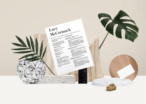 https://standoutshop.com/wp-content/uploads/2018/01/LUCY-MCCORMACK-5-BEST-RESUME-TEMPLATES-OF-2018.jpg